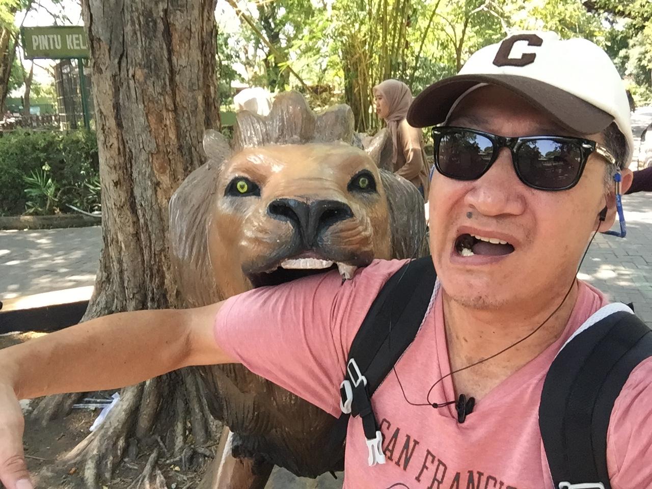 Lion Attack